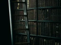 Stare, oprawione w skórę książki psychologiczne top 10, stojące na półkach bibliotecznych, obok których wznosi się drabina.