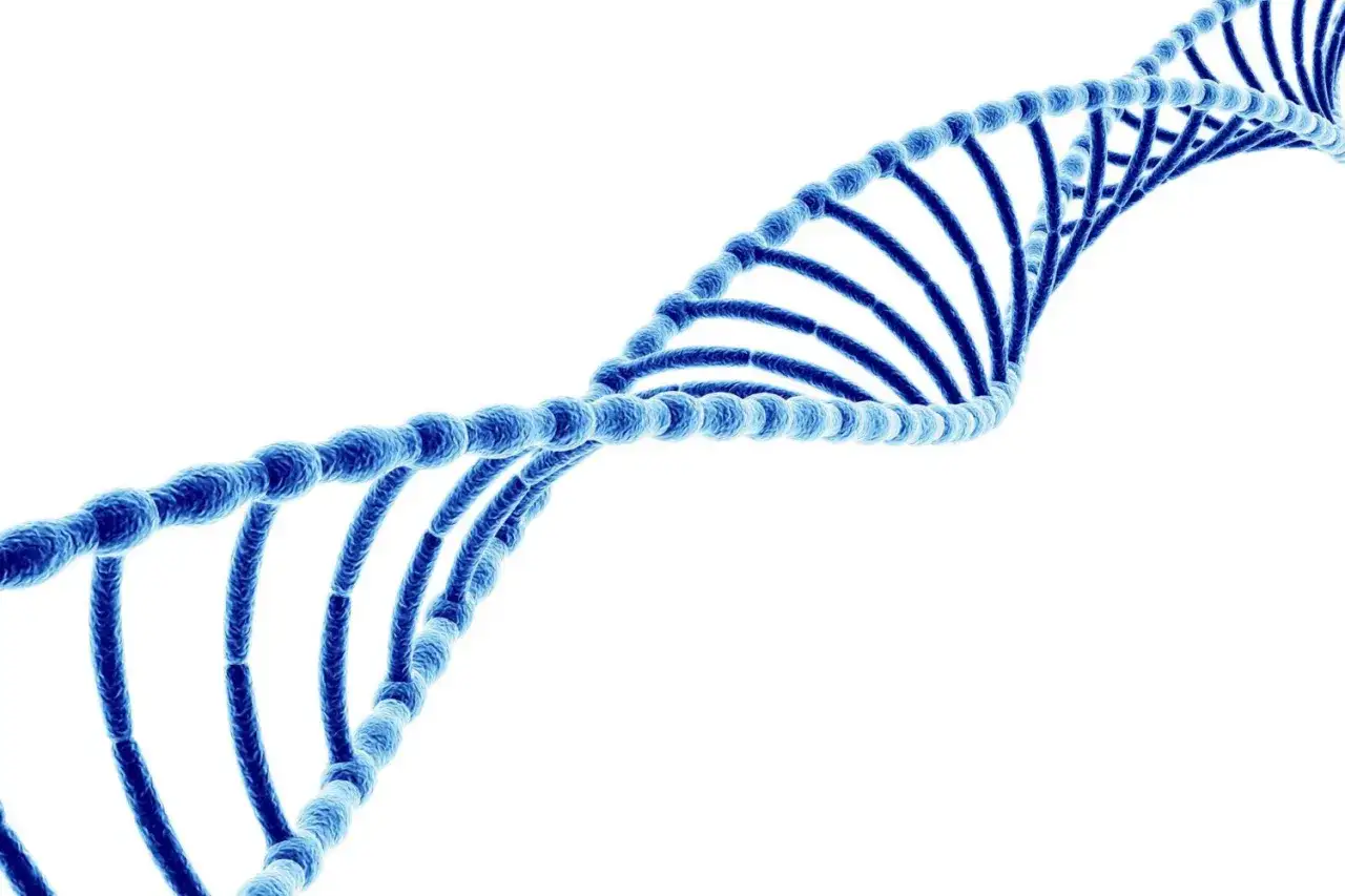 Niebieska podwójna helisa DNA, symbol życia i dziedzictwa. To, kim jesteś, nie zaczęło się od ciebie.